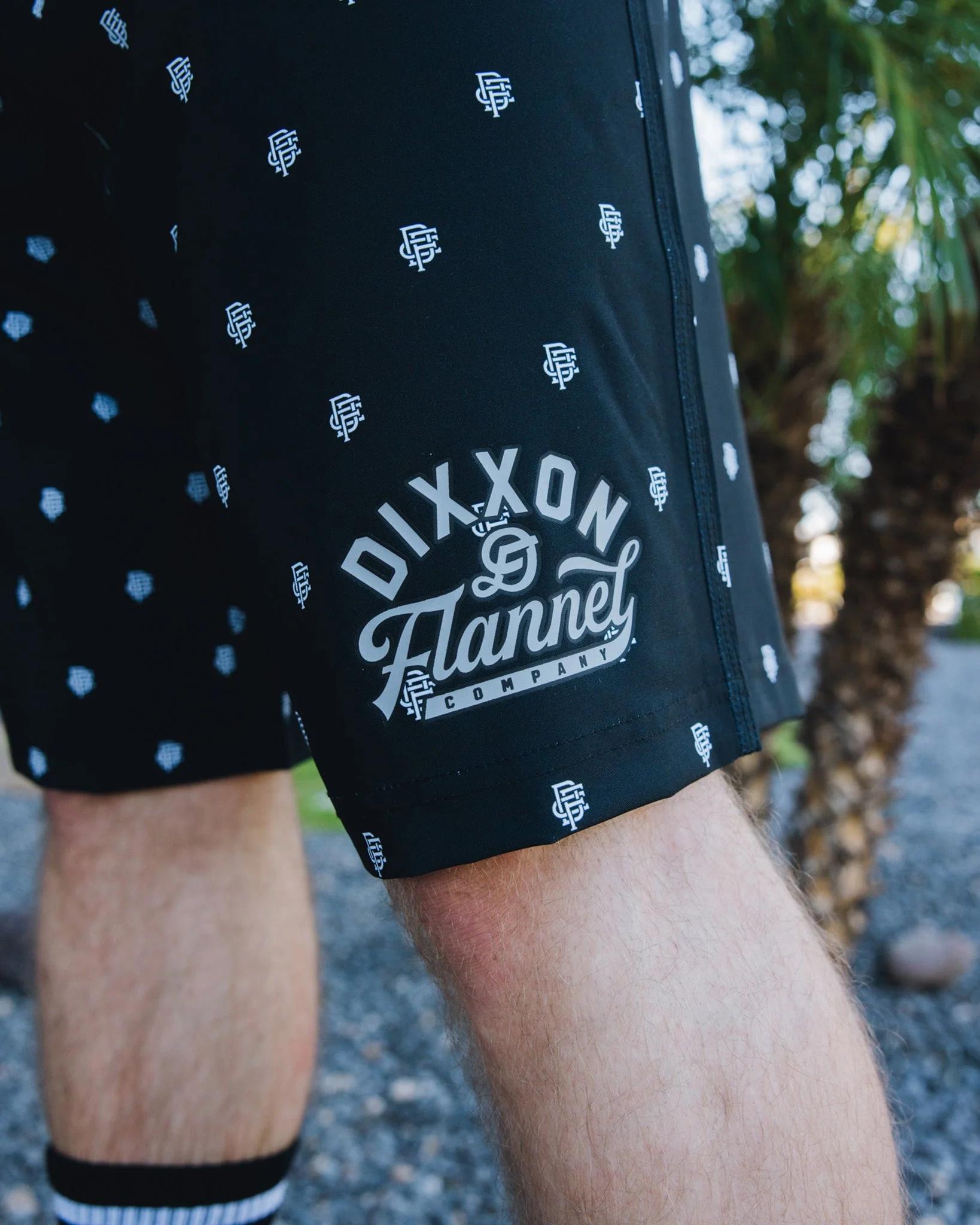 Gray Insignia Boardshorts - Black