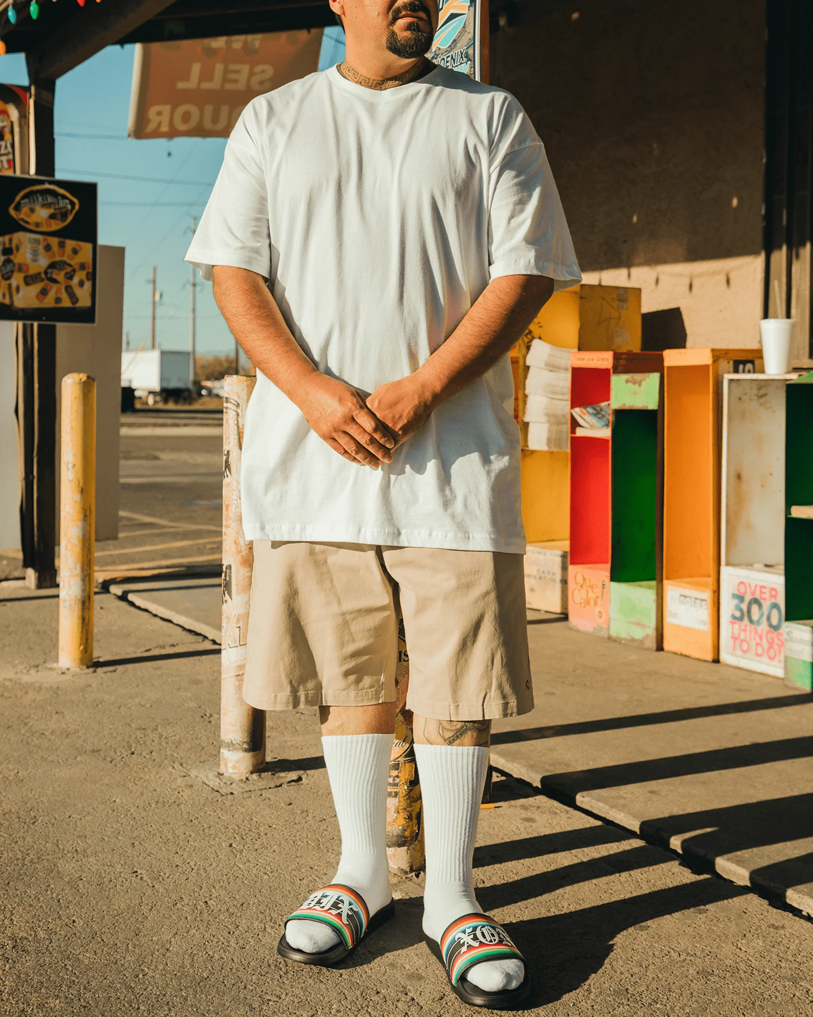 Low Low Slides 5 Low Low Slides