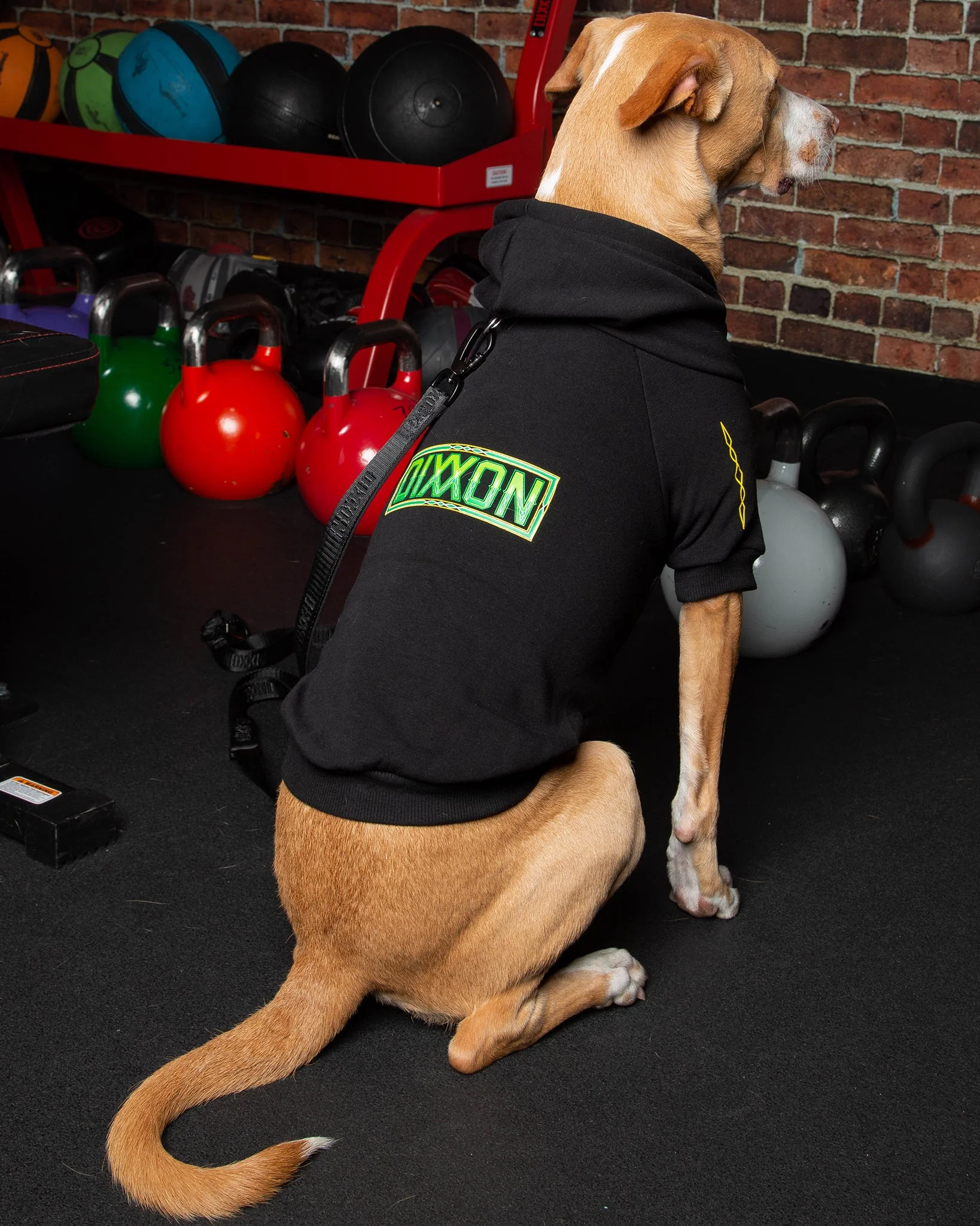 Dog Hoodie - Perro Pinstripe 3 Dog Hoodie - Perro Pinstripe