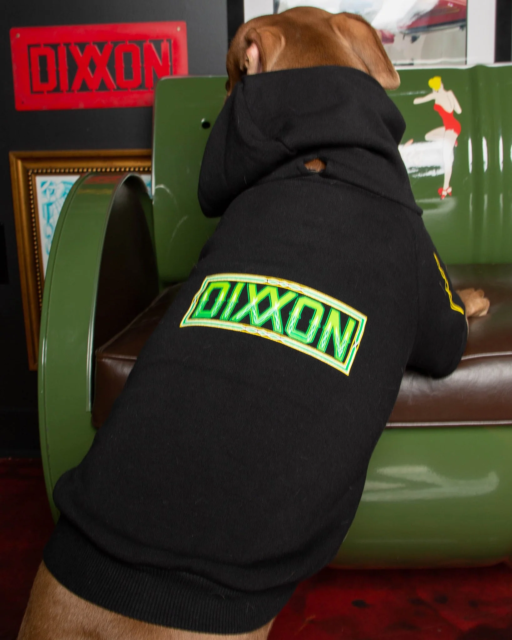 Dog Hoodie - Perro Pinstripe 5 Dog Hoodie - Perro Pinstripe