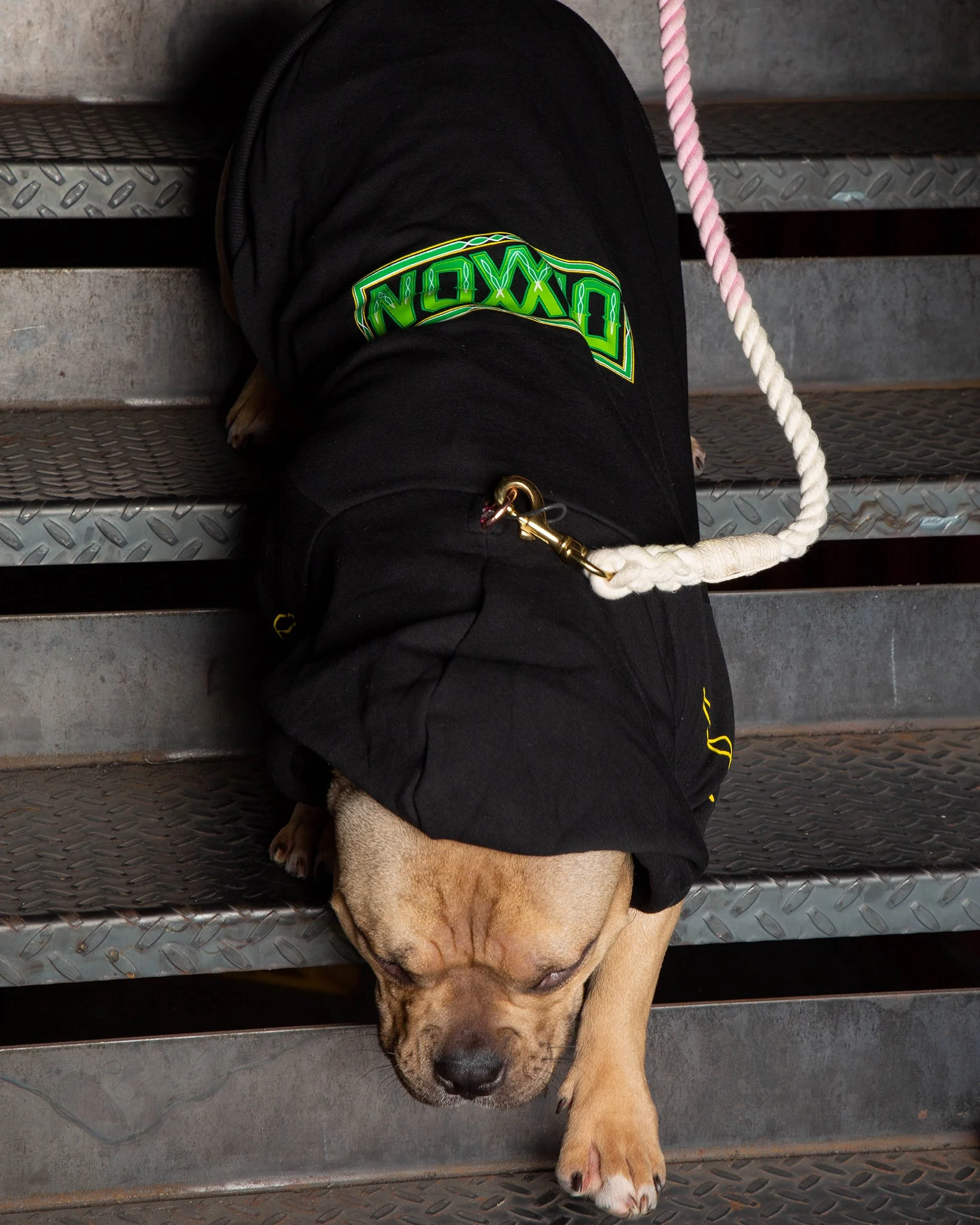 Dog Hoodie - Perro Pinstripe 7 Dog Hoodie - Perro Pinstripe