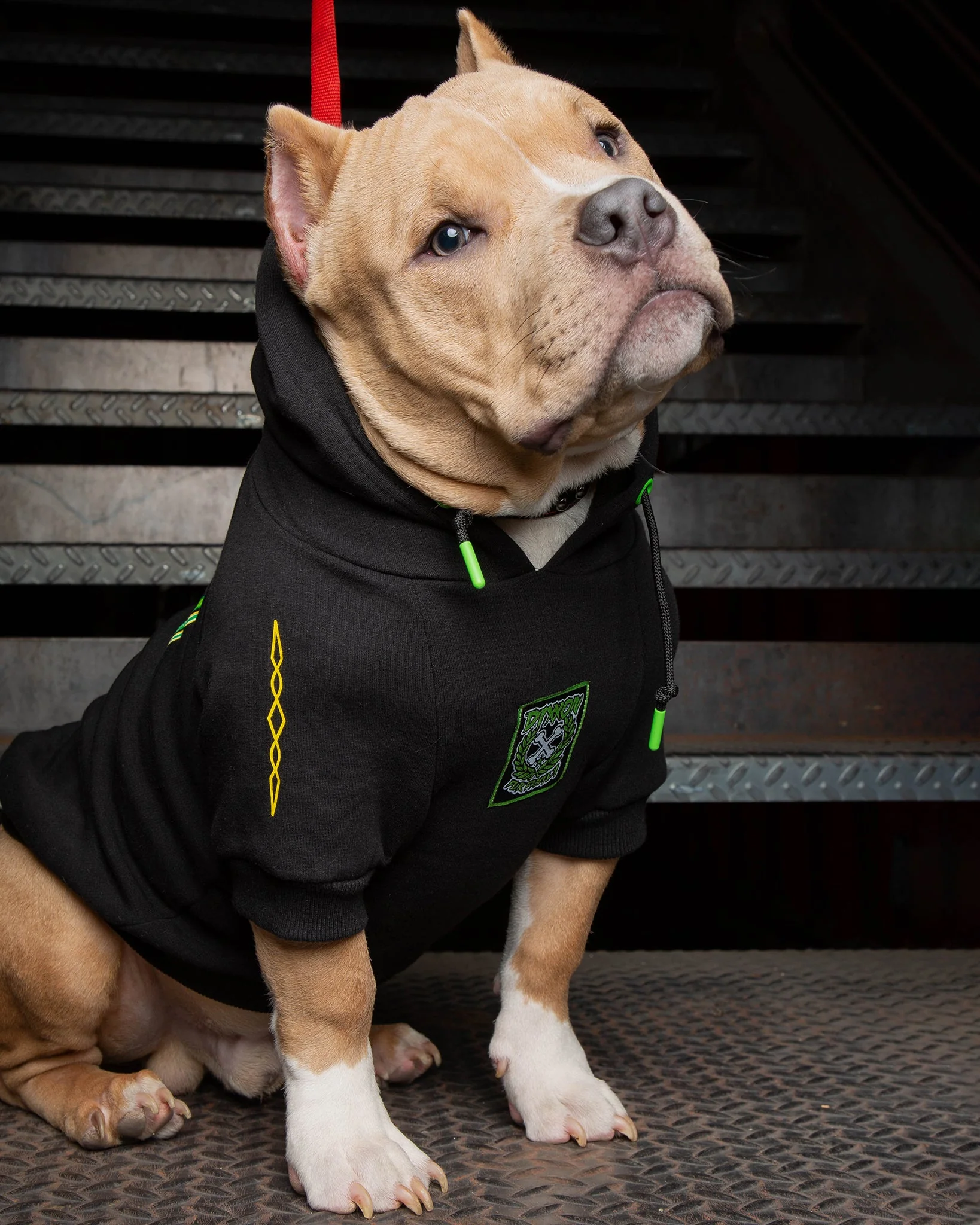 Dog Hoodie - Perro Pinstripe 8 Dog Hoodie - Perro Pinstripe