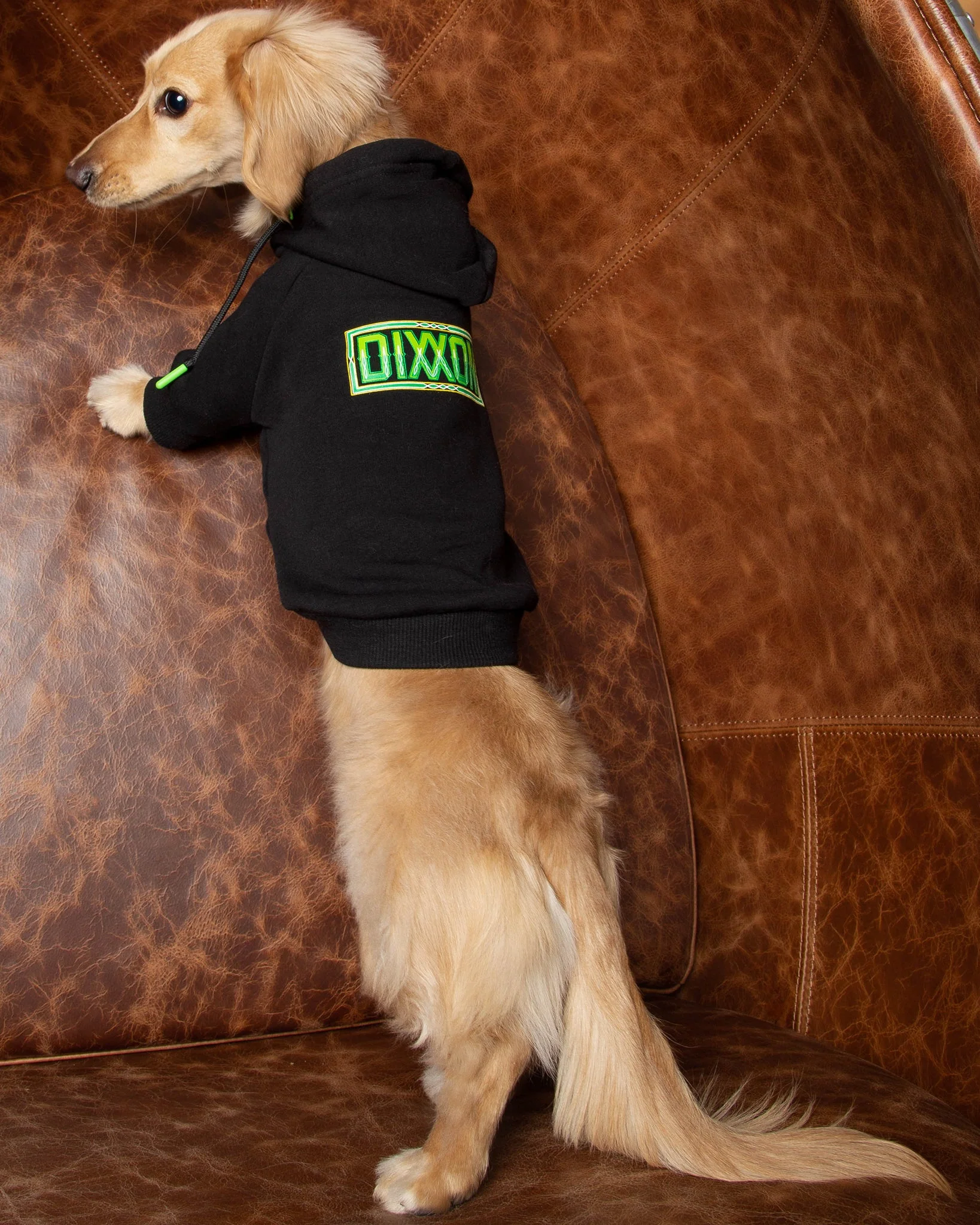 Dog Hoodie - Perro Pinstripe 9 Dog Hoodie - Perro Pinstripe